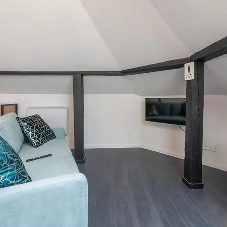 Apartment Super G Near Free Parking Station Mulhouse