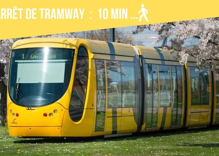 G Quai De L Alma Мюлуз